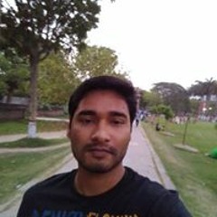 Tutul