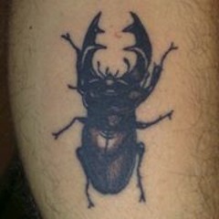 Esteban Comme Cochons