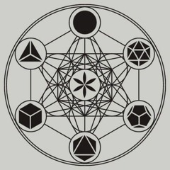 Анастасия Шишкина