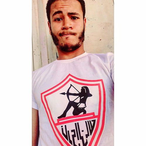 Alaa A. Mansour’s avatar