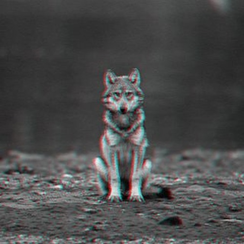 Wolf Trip’s avatar