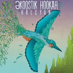 Ekoostik Hookah - Halcyon