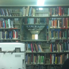 Bjorn and the Mortgages