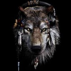 عابر سبيل الصقر