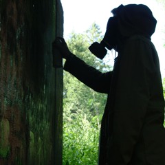 Mercer Carmichael-Grandstrand