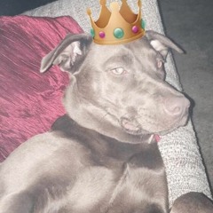 Skyler Rain Williams