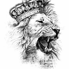 Lion60