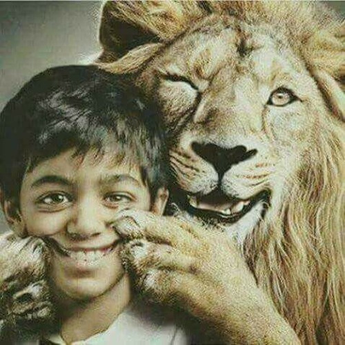 هاني الشيباني - مسافرين