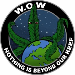 WikiLeaks on Weed Podcast