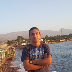 Mohamed Gamal 007