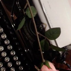 Shows for your soul pt.2