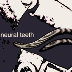 neural teeth