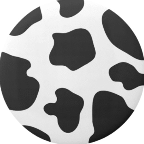 Spherical Cow’s avatar