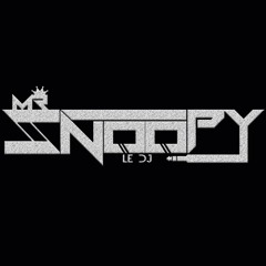 MR SNOOPY LE DJ