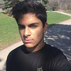 Nadir Razvi