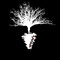 Rootline