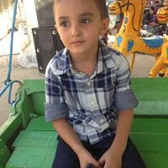 شكري حماده