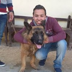 Meso Samer