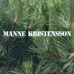 Manne Kristensson