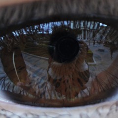 [Darwin_House_Cat]