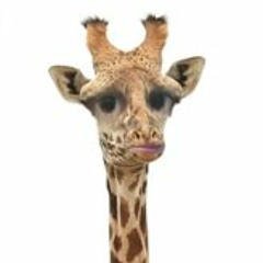 Davo's Atomic Playground