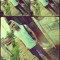 Josue Bonilla