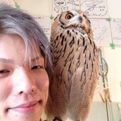 音ゲー