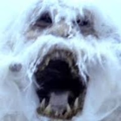 YETI BRO$ (Y.B.R.)