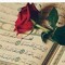 Ahmed Said Shokr