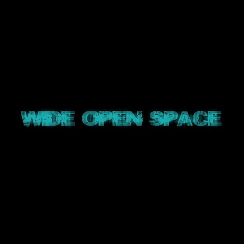 Wide Open Space’s avatar