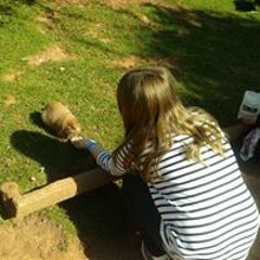 Erin Fairclough Davies