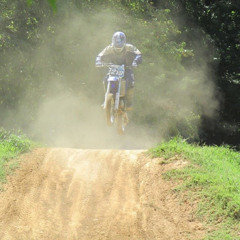 mx_219