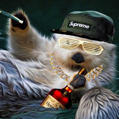 Suburban Entertainment