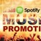 Spotify Playlist Promotion