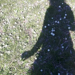 Jana Silvia Ammendolia