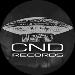 Conundrum Records