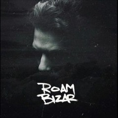 Roam Bizar