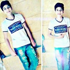 Mohamed K Habib