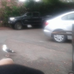 Andriana Jane Goodell