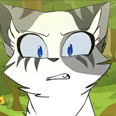 Stream The Warrior Cats music  Listen to songs, albums, playlists