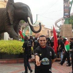 walid ezzat