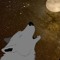 Mr. Silver Wolf