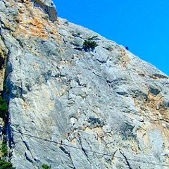 сергей голиков