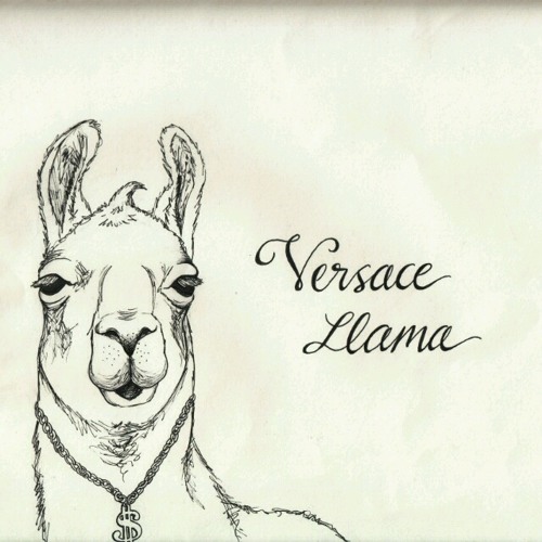 Versace Llama’s avatar