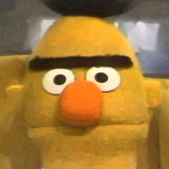 bert