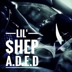 Lil Shep