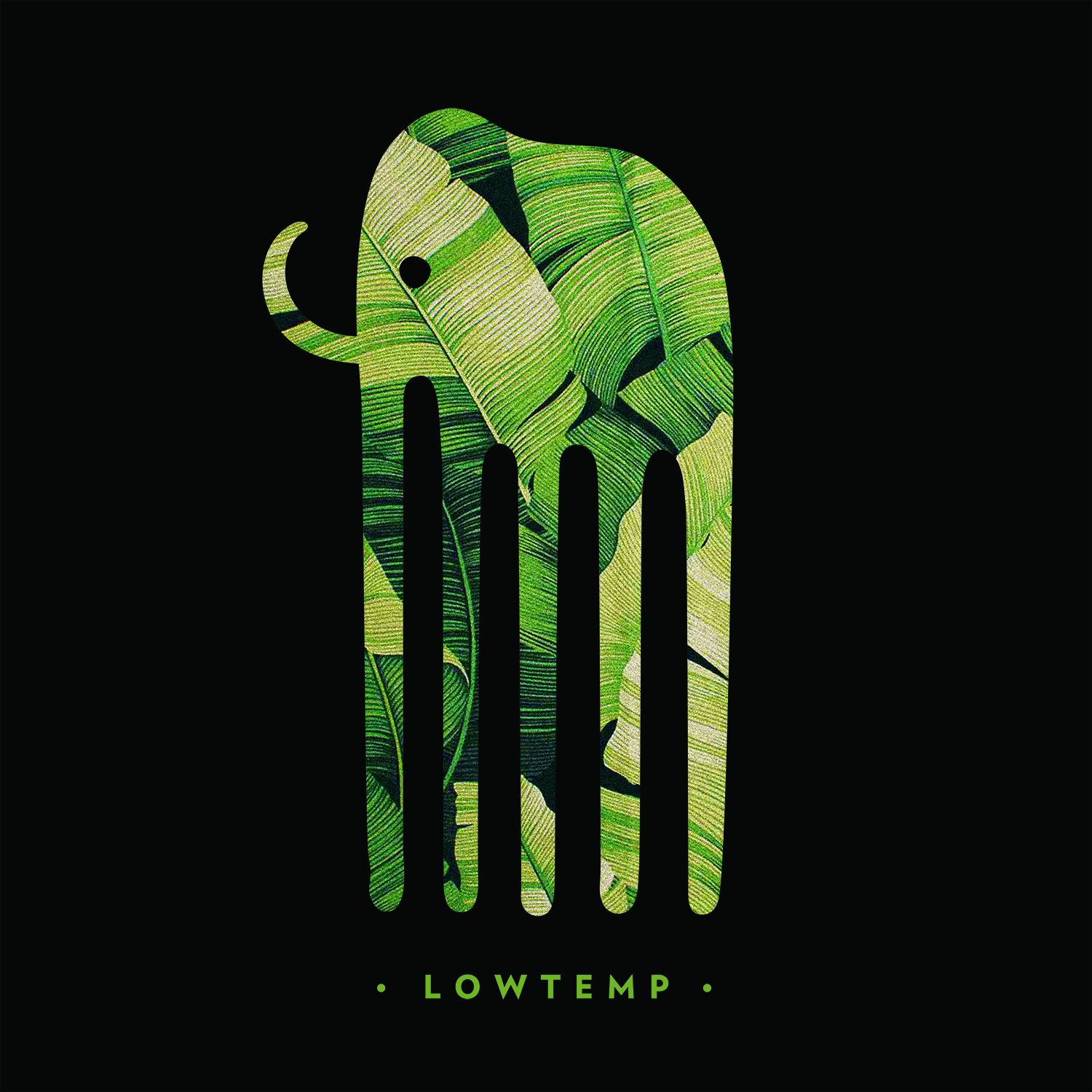 Lowtemp Music podcast artwork