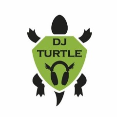 Dj Turtle