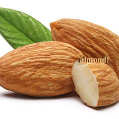 The Daily Almond