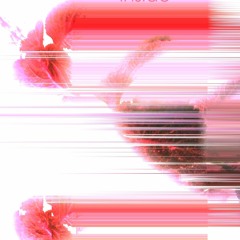 northernvalentine